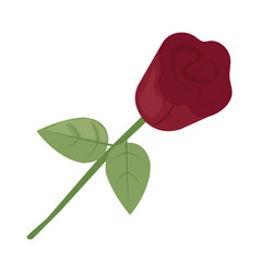 Red Rose Icon