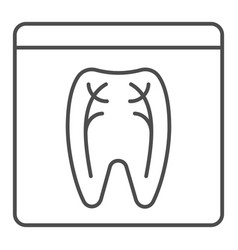 Dental Xray Thin Line Icon Tooth Xray