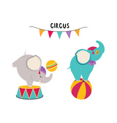 Circus Elephant Animal With Ball Performing Trick