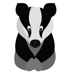 Little Badger On White Background