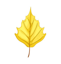 Fall Autumn Leaf Cartoon