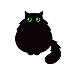 Fat Black Cat With Green Eyes