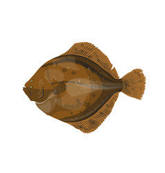 Flounder Fish In Flat Style