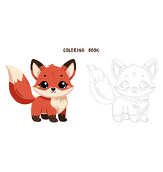 Coloring Book Of Cute Fox