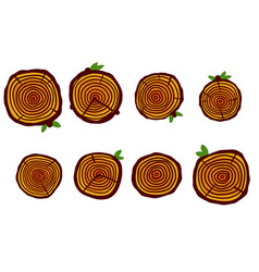 Cut Tree Trunk Stump Cross Section