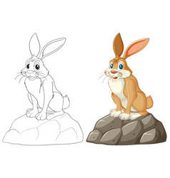 Drawing Of A Rabbit Before And After Coloring