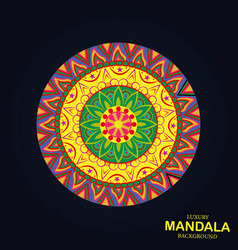 Round Multi Color With A Bright Mandala With A Flo