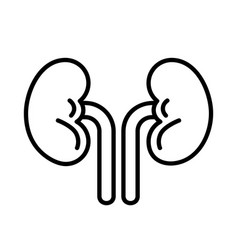 Kidneys Icon Design Line Art