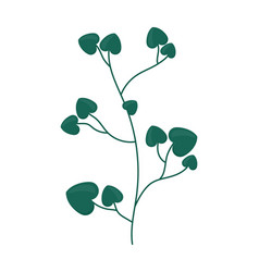 Climbing Plant Icon