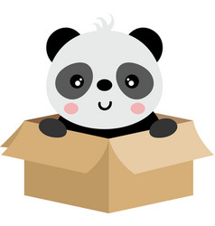 Cute Panda In Cardboard Box