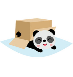 Cute Panda Under Cardboard Box