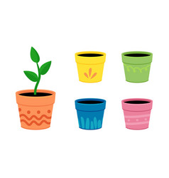 Collection Of Home Flower Pots Color Clay Pots