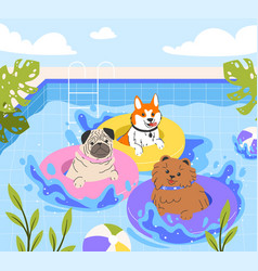 Dog Pool Party Concept