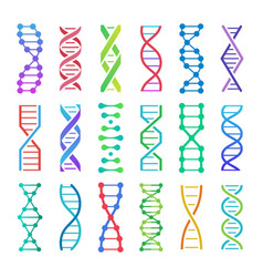 Colorful Dna Icon And Structure Spiral