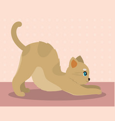 Cute Cat Cartoon Kawaii