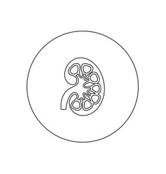 Kidney Icon Flat Style