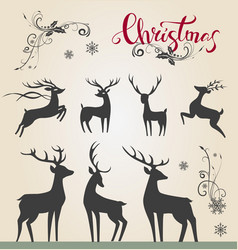 Set of christmas graphic elements and ornaments Vector Image