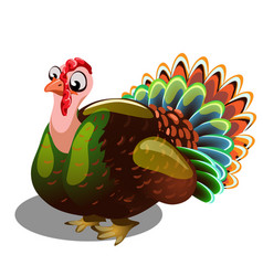 Turkey cartoon Royalty Free Vector Image - VectorStock