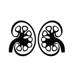 Human Kidney Icon Graphics