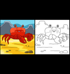 Red Jamaican Crab Coloring Page