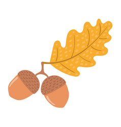 Oak Acorns And Leaf Hand Drawn