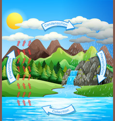 Water cycle process on earth - scientific Vector Image