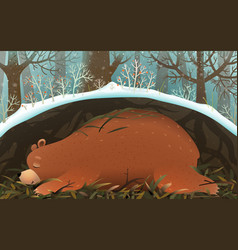 Bear Sleeping Or Hibernating In Den Forest