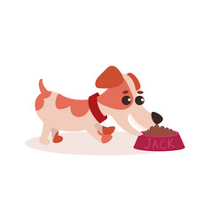 Jack Russell Terrier Character Eating Dog Food Out