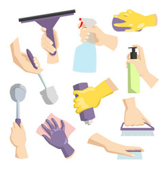 Cleaning Tools In Housewife Hand Perfect