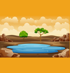 Scene With Water Hole In Field