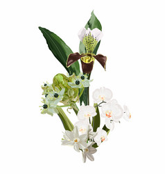 Set Of Tropical Bouquet With Orchid