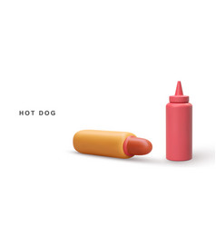 3d Realistic Hot Dog And Ketchup