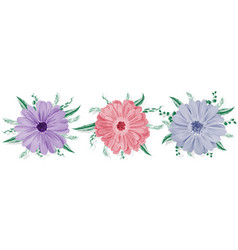 Gerbera Daisy Flower On White Background