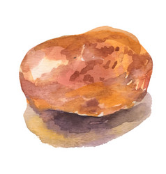 Potato Tubers Watercolor Isolated