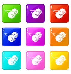 Chokeberry Or Aronia Berry Icons 9 Set