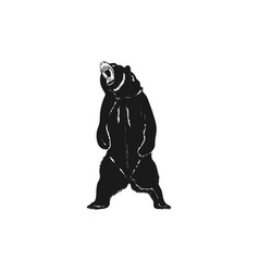 Alaska bear silhouette wild animal zoo Royalty Free Vector