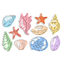 Undersea Shell Set Line Art Style Summer Design