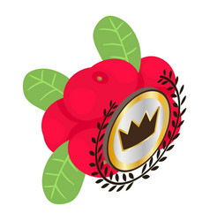 Organic Cranberry Icon Isometric Fresh