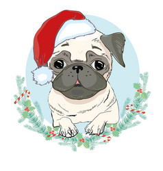 Portrait Of Cute French Bulldog In Red Christmas