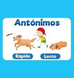 Spanish Language Education Rapido And Lento