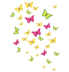 Butterfly Swarm