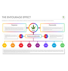 Entourage Effect Horizontal Business