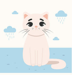 Sad Cat And Clouds With Rain Blue Shades