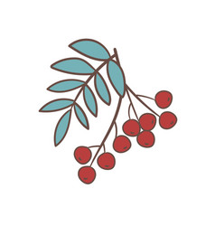 Hand Drawn Rowan Branch Autumn Element