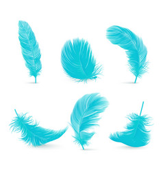 3d Realistic Blue Fluffy Feather Set