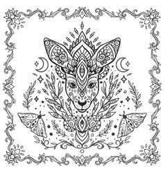 Kangaroo Mandala Animal