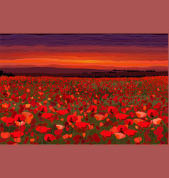 Bright Poppy Field With Sunset Sky