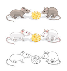 Two Mice With A Piece Cheese