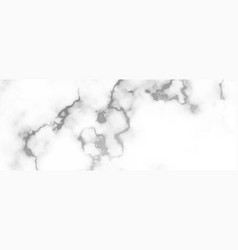 White Abstract Marble Texture Banner Design