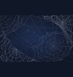 Spider Web Background For Halloween